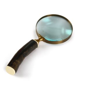 Magnifying Glass Horn