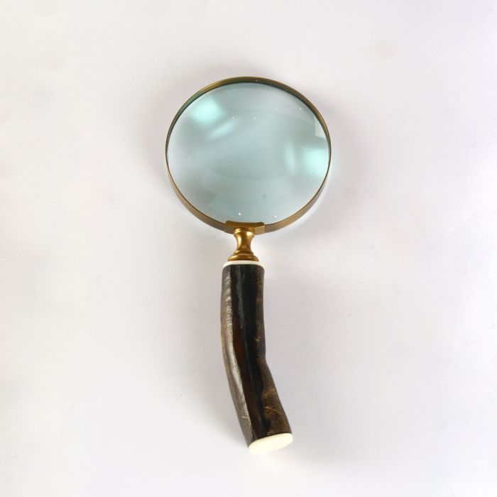 Magnifying Glass Horn