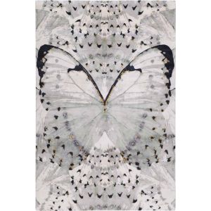 Glasswings - Alexander McQueen