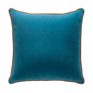 Pelham Peacock / Clementine Cushion