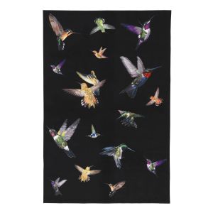 Hummingbird Black Alexander McQueen